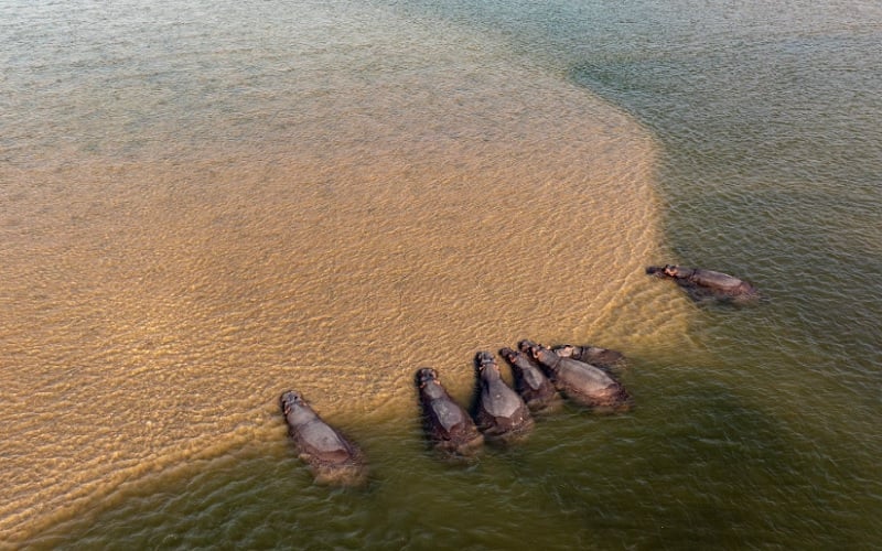 The Ultimate Tiger Fishing Escape: 4 Nights Baines River Camp, Zambia